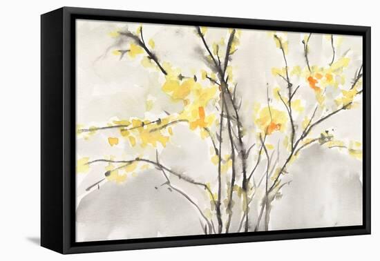 Blissful Elegance I-Samuel Dixon-Framed Stretched Canvas