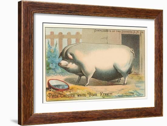 Bloated Pig-null-Framed Art Print