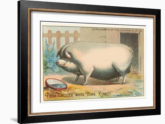 Bloated Pig-null-Framed Art Print