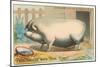 Bloated Pig-null-Mounted Art Print