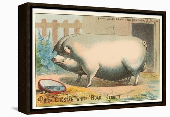 Bloated Pig-null-Framed Stretched Canvas
