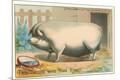 Premium Giclee Print