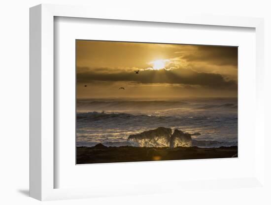 Block of Ice at Diamond Beach, Iceland, Sunrise-Niki Haselwanter-Framed Photographic Print