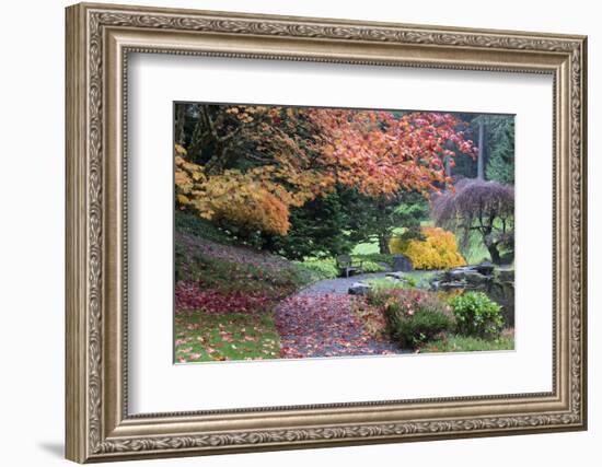 Bloedel Reserve. Pathway Through Japanese Gardens in Fall Color-Trish Drury-Framed Photographic Print