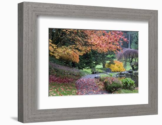 Bloedel Reserve. Pathway Through Japanese Gardens in Fall Color-Trish Drury-Framed Photographic Print