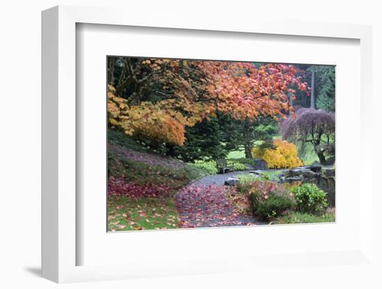 Bloedel Reserve. Pathway Through Japanese Gardens in Fall Color-Trish Drury-Framed Photographic Print