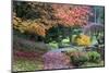 Bloedel Reserve. Pathway Through Japanese Gardens in Fall Color-Trish Drury-Mounted Photographic Print