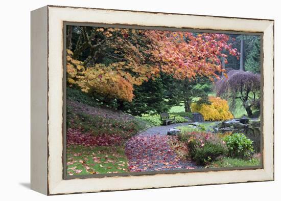 Bloedel Reserve. Pathway Through Japanese Gardens in Fall Color-Trish Drury-Framed Premier Image Canvas