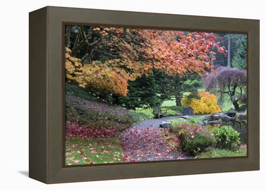 Bloedel Reserve. Pathway Through Japanese Gardens in Fall Color-Trish Drury-Framed Premier Image Canvas