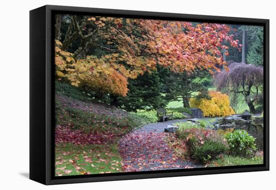 Bloedel Reserve. Pathway Through Japanese Gardens in Fall Color-Trish Drury-Framed Premier Image Canvas
