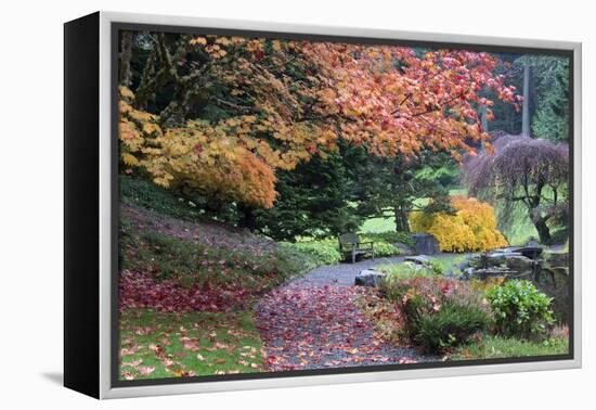 Bloedel Reserve. Pathway Through Japanese Gardens in Fall Color-Trish Drury-Framed Premier Image Canvas