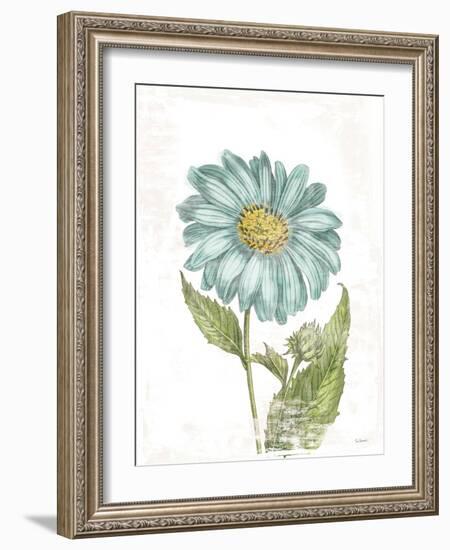 Bloemen Boek II on White-Sue Schlabach-Framed Art Print