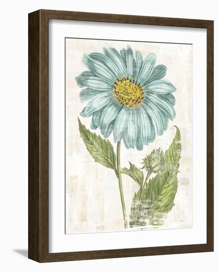 Bloemen Boek II-Sue Schlabach-Framed Art Print