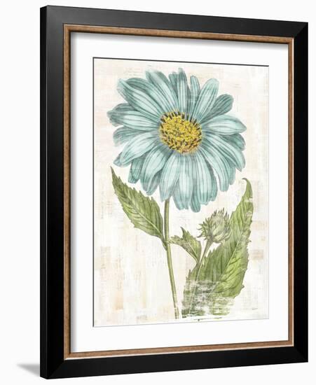 Bloemen Boek II-Sue Schlabach-Framed Art Print