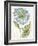 Bloemen Boek II-Sue Schlabach-Framed Art Print