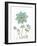 Bloemen Boek III on White-Sue Schlabach-Framed Art Print