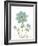 Bloemen Boek III on White-Sue Schlabach-Framed Art Print