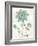 Bloemen Boek III-Sue Schlabach-Framed Art Print