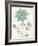 Bloemen Boek III-Sue Schlabach-Framed Art Print