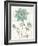 Bloemen Boek III-Sue Schlabach-Framed Art Print