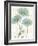 Bloemen Boek IV-Sue Schlabach-Framed Art Print