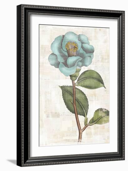 Bloemen Boek IX-Sue Schlabach-Framed Art Print