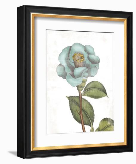 Bloemen Boek V on White-Sue Schlabach-Framed Art Print