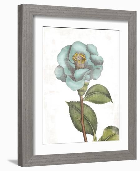 Bloemen Boek V on White-Sue Schlabach-Framed Art Print