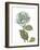 Bloemen Boek V on White-Sue Schlabach-Framed Art Print