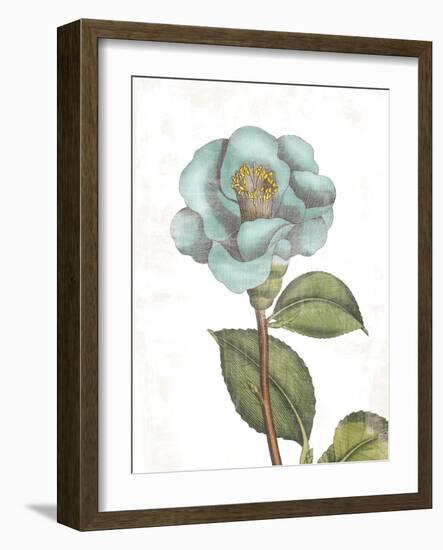 Bloemen Boek V on White-Sue Schlabach-Framed Art Print