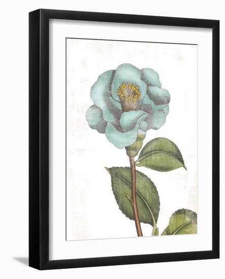 Bloemen Boek V on White-Sue Schlabach-Framed Art Print