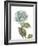 Bloemen Boek V on White-Sue Schlabach-Framed Art Print