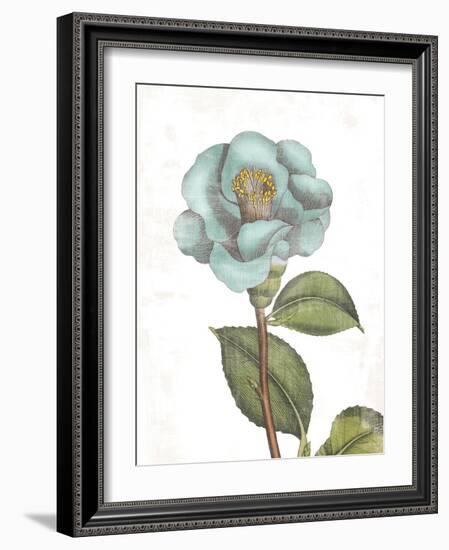 Bloemen Boek V on White-Sue Schlabach-Framed Art Print