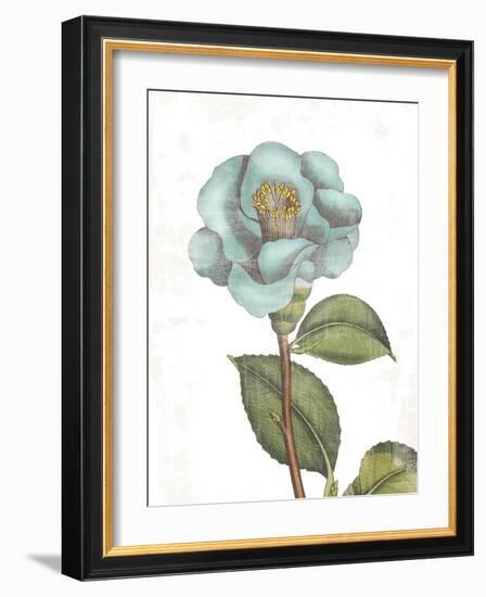 Bloemen Boek V on White-Sue Schlabach-Framed Art Print