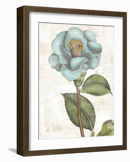 Bloemen Boek V-Sue Schlabach-Framed Art Print