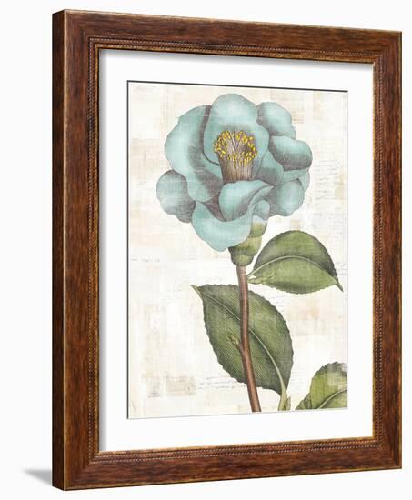 Bloemen Boek V-Sue Schlabach-Framed Art Print