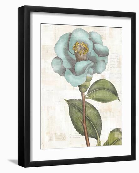 Bloemen Boek V-Sue Schlabach-Framed Art Print