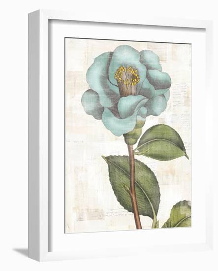 Bloemen Boek V-Sue Schlabach-Framed Art Print