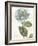 Bloemen Boek V-Sue Schlabach-Framed Art Print