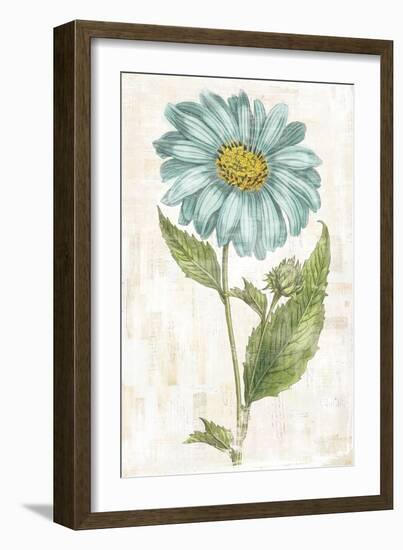 Bloemen Boek VI-Sue Schlabach-Framed Art Print