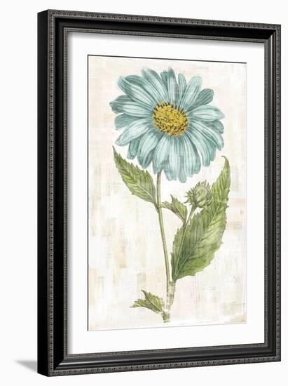 Bloemen Boek VI-Sue Schlabach-Framed Art Print