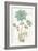 Bloemen Boek VII-Sue Schlabach-Framed Art Print