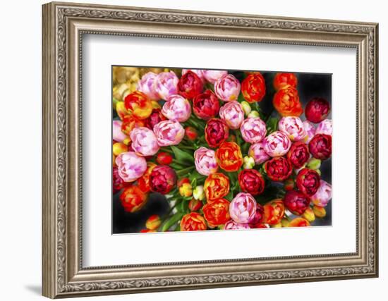 Bloemenmarket Flower Market. Amsterdam, Holland, Netherlands.-William Perry-Framed Photographic Print