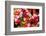 Bloemenmarket Flower Market. Amsterdam, Holland, Netherlands.-William Perry-Framed Photographic Print