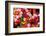 Bloemenmarket Flower Market. Amsterdam, Holland, Netherlands.-William Perry-Framed Photographic Print