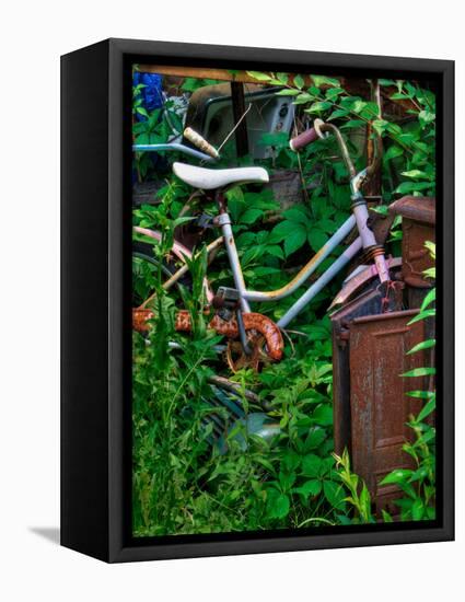 Blogcube-Jim Crotty-Framed Premier Image Canvas