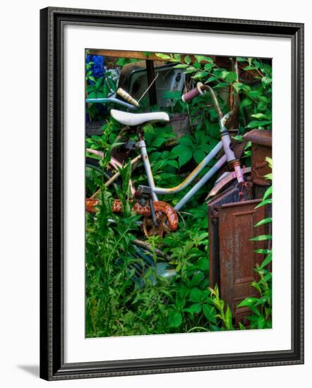 Blogcube-Jim Crotty-Framed Photographic Print