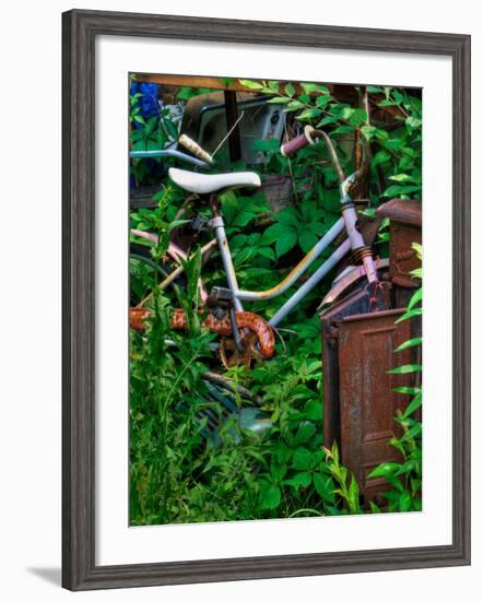 Blogcube-Jim Crotty-Framed Photographic Print