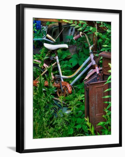 Blogcube-Jim Crotty-Framed Photographic Print