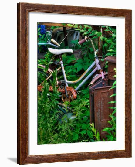 Blogcube-Jim Crotty-Framed Photographic Print